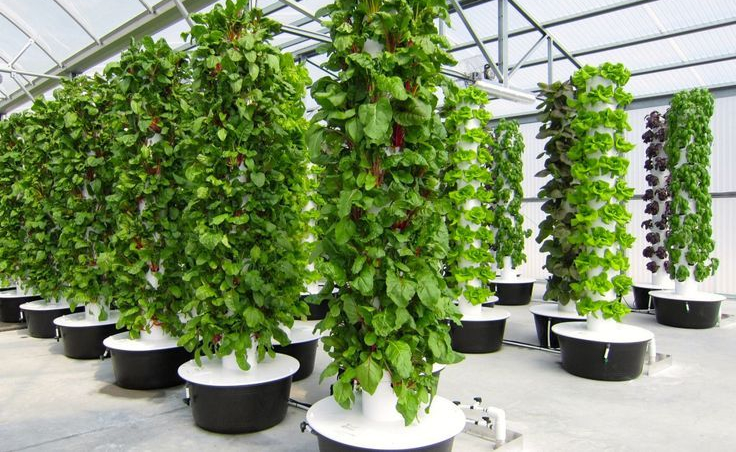Tower Garden Systems, What's the deal? - Talking Hydroponics